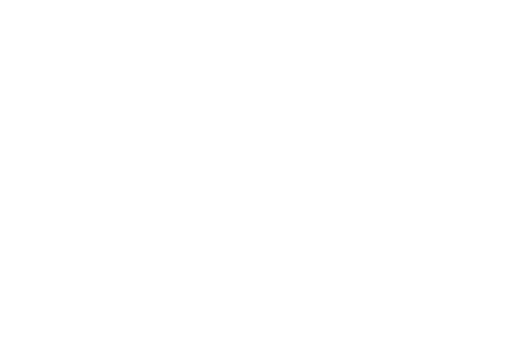 Grupo Brio