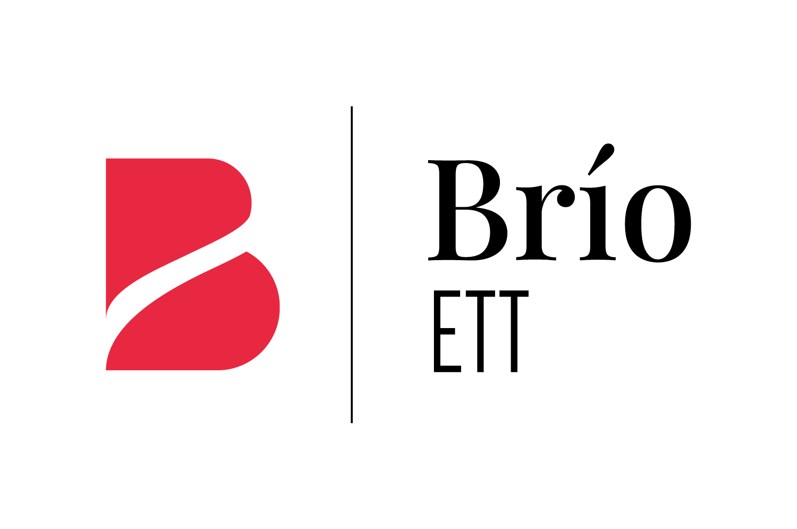 BrioCapitalHumano-Logo_Color